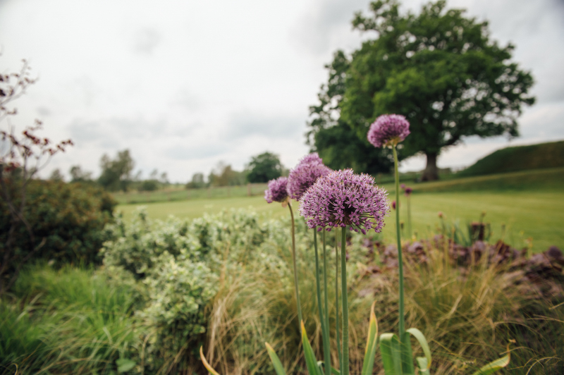 Suffolk Wedding Portrait & Commercial Photographer