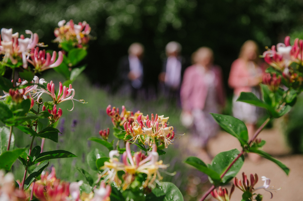 Suffolk Wedding Portrait & Commercial Photographer